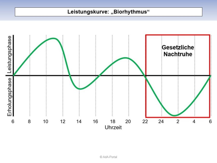 Biorhythmus